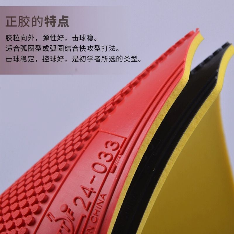 Original DHS Dragon Shadow Tab - Table Tennis Club review and price